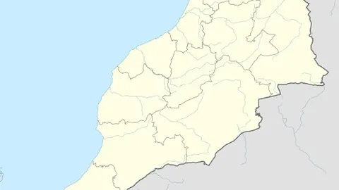 辽足新加盟球员年龄引关注，李金羽强调：评价依据是球员实力