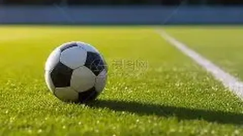 梅州客家官员公然侮辱裁判，俱乐部罚款一万元予以惩戒